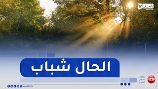 طقس مستقر يميز أغلب ولايات الوطن