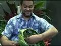 (2of3)  The Kama Family Style of Basket Weaving Demonstation  Hilo Hawaii 2008