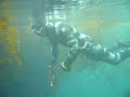 Spearfishing Lingcod and rockfish Spearfishing Lingcod and rockfish