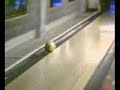 gobbostaff...partita a bowling...i fioi de campocroce..... gobbostaff...partita a bowling...i fioi de campocroce.....