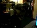 videos de MICKEY MOUSE.wmv