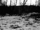 A Day in WWI - Tannenberg