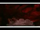 \"You and I Misbehaving\"- Tilly and the Wall