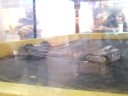 Wheel Stealer vs. Aggravator