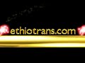 Ethiotrans: Amharic localization and translation Company Ethiotrans: Amharic localization and translation Company