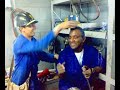 ais aventura de mergulhão