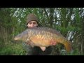 Willow Lake ~ Stand By Your Buzzers Pt 17