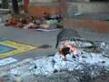 videos de saadhna