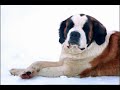Warren Miller Journey - Portillo Warren Miller Journey - Portillo