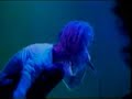 Nick Cave and The bad seeds From Her To Eternity live