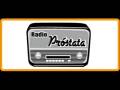 videos de Radio Prostata (24-11-08)