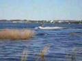 waverunner