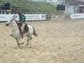Rodeio de São Marcos !