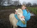 Nooit vergeet ik jou