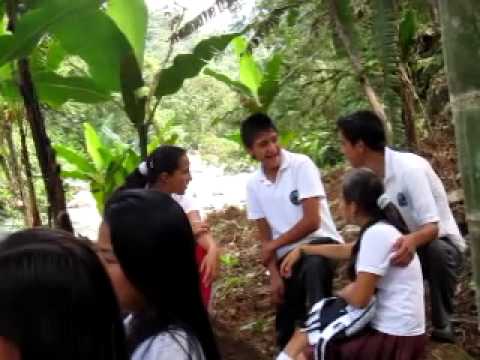 cultivo anturios - Estudiante de la institución Educativa Ospina Pérez Producción de anturios.
