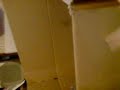 Catbook Movie: Cat in box! :D X