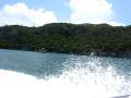 videos de At the Thai National Marine Park off of Koh Samui Thailand 10