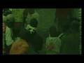 MONUC PID SHOWREEL JUNE 2008