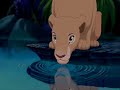 The Lion King - Can You Feel The Love Tonight (Hebrew)