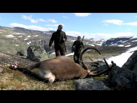 Hunt & Cook: Rudolf the Reindeer