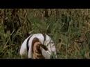 video for the whole wide world. basically they both know they're not good for the other but love each other anyway