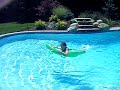 carl and al in the pool again