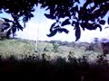 Click here to watch this video ternakan kambing my3sfarm