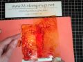 Acetate Effects