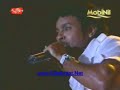 shaggy   hayfaa   cairo concert