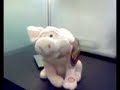 Porker