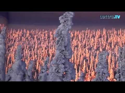 FROZEN PLANET von Alastair Fothergill und Vanessa Berlowitz