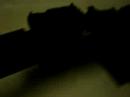 My A5 ARMS SIR