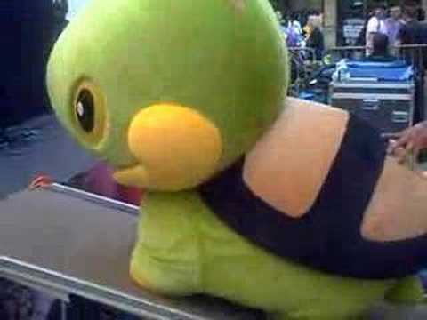 turtwig