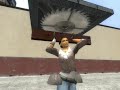 Dancing Ragdolls
