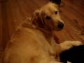 videos de MOV04358