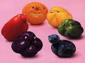 Veg Art South Africa