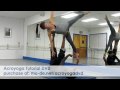 Motion Design Acrobatic Yoga Tutorial DVD Volume I coming January 2010. 6 of 17