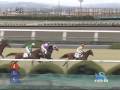 2009年1月31日 京都4R 障害未勝利 ランドマッハ