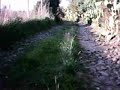 Trexenta off road