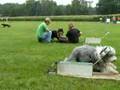 flyball Jaimy