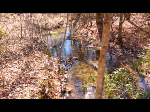 240 acres Ashland, AL