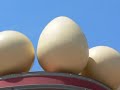 museo dalí  figueras  gerona 