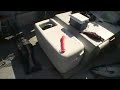 4 Springs over 40 lbs in one day