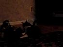 Kitty Somersault