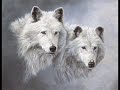 Video Le Klan du Loup