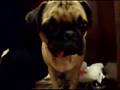 video MUC IN MOPS