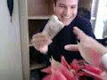 Video0036.mp4