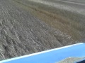 Harvest 2010/2011 - Harvesting 'correll' wheat at Freeling