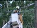 Thursday Storms Cause Damage In Surry County
