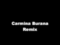Carmina Burana Remix